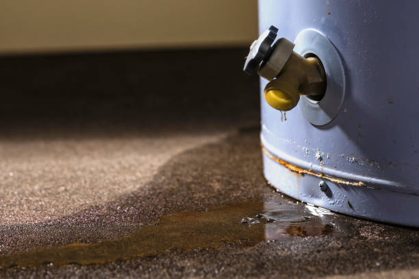 Water damage restoration experts in NV