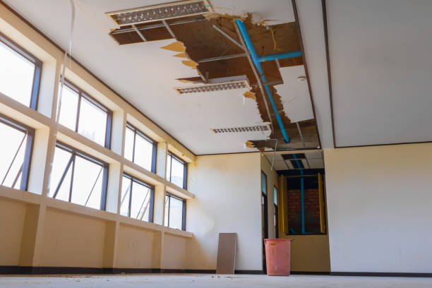 Best 24/7 water damage repair  in Lovelock, NV