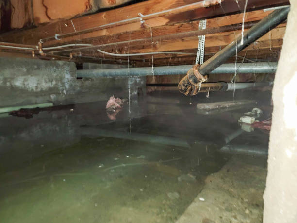 Best Commercial water damage restoration  in Lovelock, NV