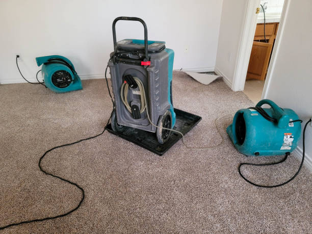 Best Fire Damage Restoration  in Lovelock, NV