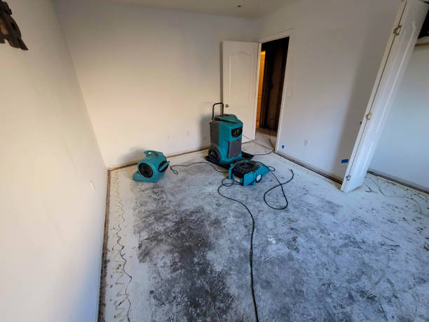 Trusted NV Water damage restoration Experts