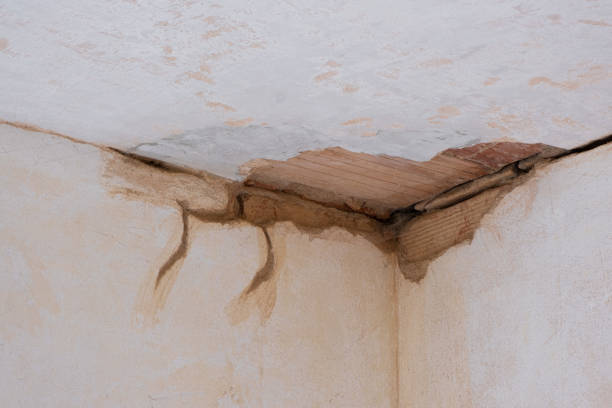 Best 24-hour water damage restoration  in Lovelock, NV