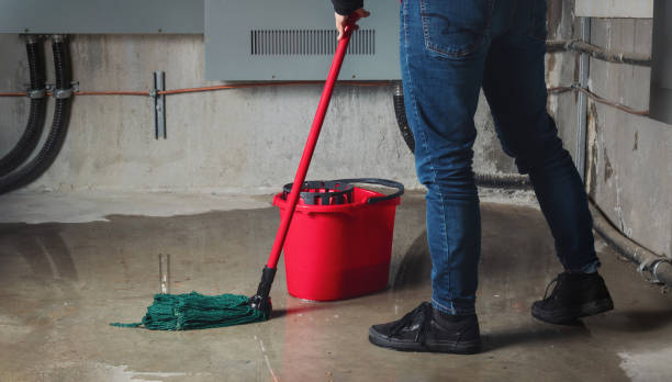 Best Professional water damage repair  in Lovelock, NV