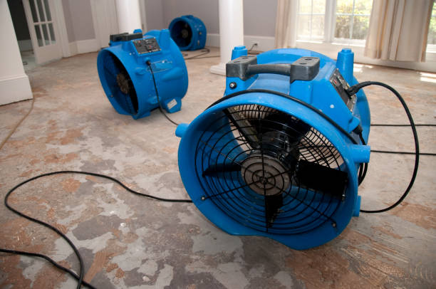 Best Water damage restoration insurance claims  in Lovelock, NV