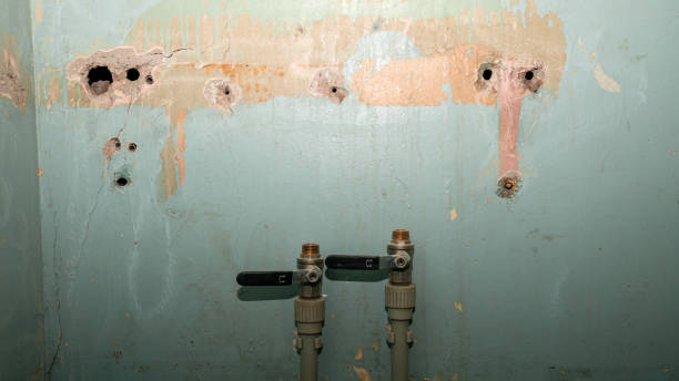 Best Emergency water damage restoration  in Lovelock, NV